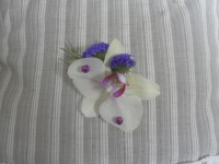 /album/bukety-1/getimage-81-jpg/